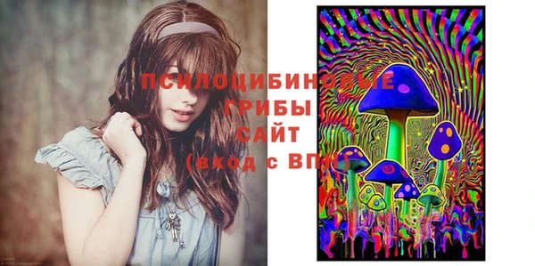 дмт Алексин