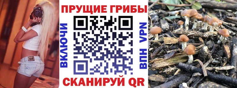 Псилоцибиновые грибы мицелий  Лукоянов 